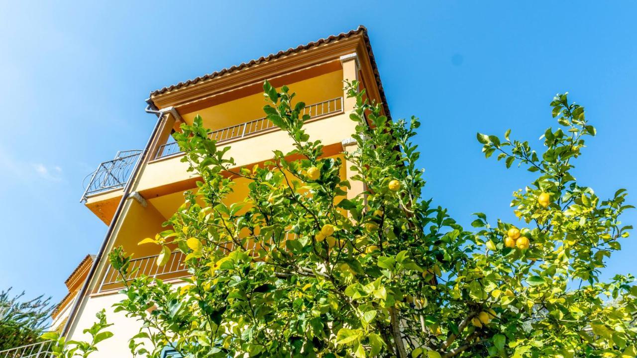 Appartamenti Dodi Lt - Pms Casevacanze Budoni Exterior foto